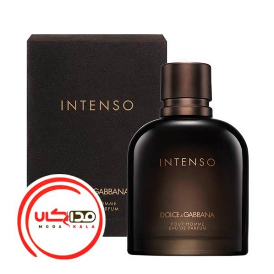 عطر ادکلن دی اند جی دلچه گابانا پور هوم اینتنسو | Dolce Gabbana Pour Homme Intenso